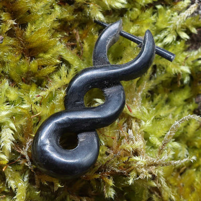 Horn earrings